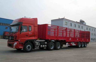 貨運(yùn)資格證考試面試換輪胎謝謝,要詳細(xì)的